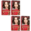 image:imageRevlon ColorSilk Hair Color 30 Dark Brown 1 ea Pack of 641 Medium Brown