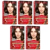 image:imageRevlon ColorSilk Hair Color 30 Dark Brown 1 ea Pack of 641 Medium Brown