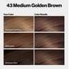 image:imageRevlon ColorSilk Hair Color 30 Dark Brown 1 ea Pack of 643 Medium Golden Brown
