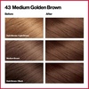 image:imageRevlon ColorSilk Hair Color 30 Dark Brown 1 ea Pack of 643 Medium Golden Brown