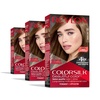 image:imageRevlon ColorSilk Hair Color 30 Dark Brown 1 ea Pack of 651 Light Brown
