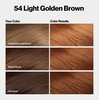 image:imageRevlon ColorSilk Hair Color 30 Dark Brown 1 ea Pack of 654 Light Golden Brown
