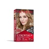 image:imageRevlon ColorSilk Hair Color 30 Dark Brown 1 ea Pack of 661 Dark Blonde