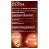 image:imageRevlon ColorSilk Hair Color 30 Dark Brown 1 ea Pack of 6Brown