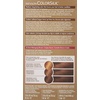 image:imageRevlon ColorSilk Hair Color 30 Dark Brown 1 ea Pack of 6Ultra Light Natural Blonde