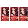 Medium Golden Chestnut